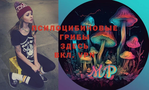 spice Алзамай